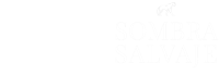 LOGOS2