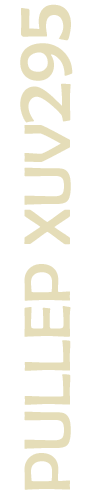 Recurso 13PULLEP